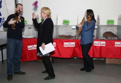 �������� ����� '������� ���-�����' 30 ������-1 ������� 2013., ������������ ��� 4322